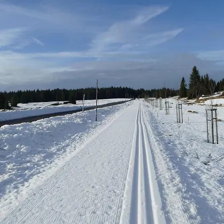 Lägenhet Na Vyhledech *
