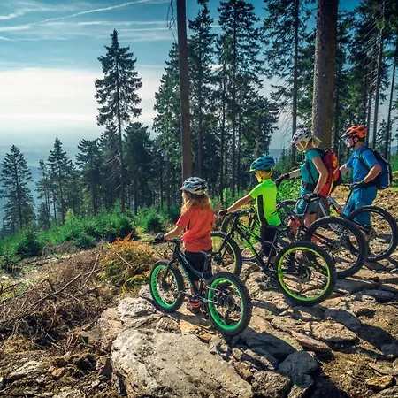 Na Vyhledech דירה