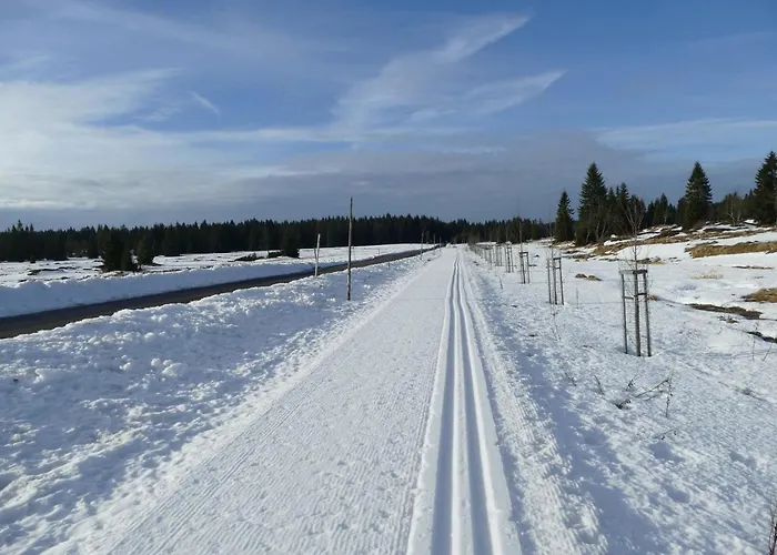 公寓 Na Vyhledech *