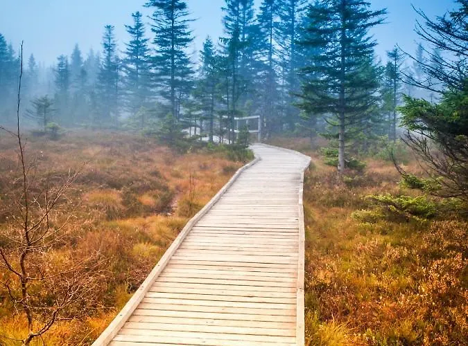 Apartment Na Vyhledech *